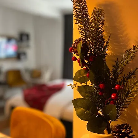 Magija Apartament Vrnjačka Banja