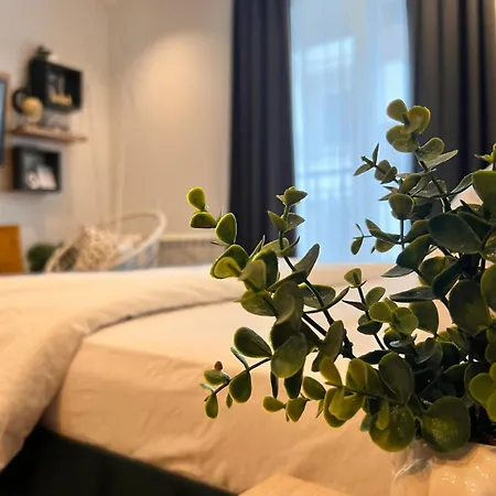 Magija * Vrnjačka Banja